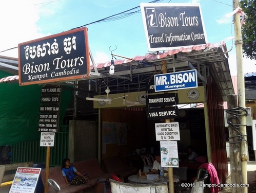 Bison Tours in Kampot, Cambodia.