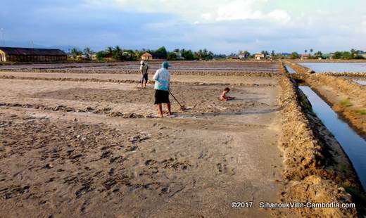 The Salt Fields of Kampot, Cambodia.