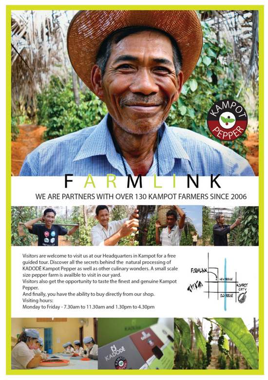 Farmlink Workshop Pepper Plantation and Kadode Pepper in Kampot, Cambodia.