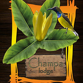 Champa Lodge in Kampot, Cambodia.