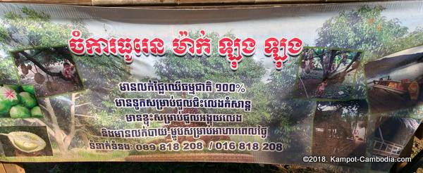 Makk Long Long Durian Farm Riverpark in Kampot, Cambodia.