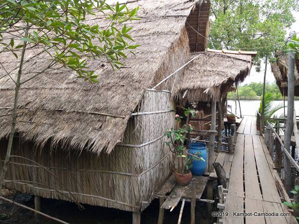 Trapeang Sankae Mangrove Ecotourism Guesthouse in Kampot, Cambodia.