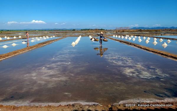 The Salt Fields of Kampot, Cambodia.