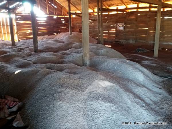 The Salt Fields of Kampot, Cambodia.