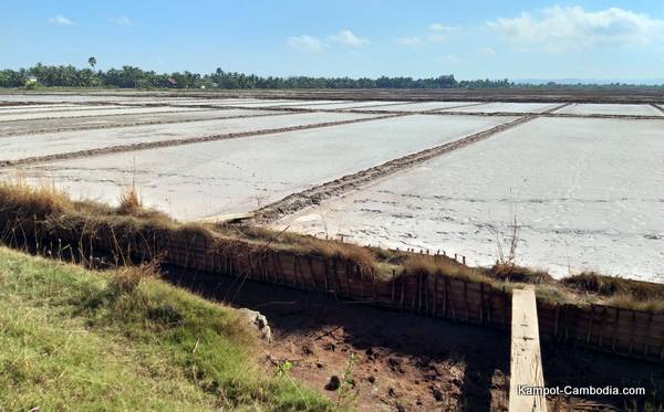 The Salt Fields of Kampot, Cambodia.