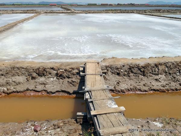 The Salt Fields of Kampot, Cambodia.