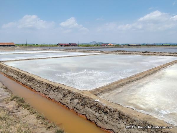 The Salt Fields of Kampot, Cambodia.