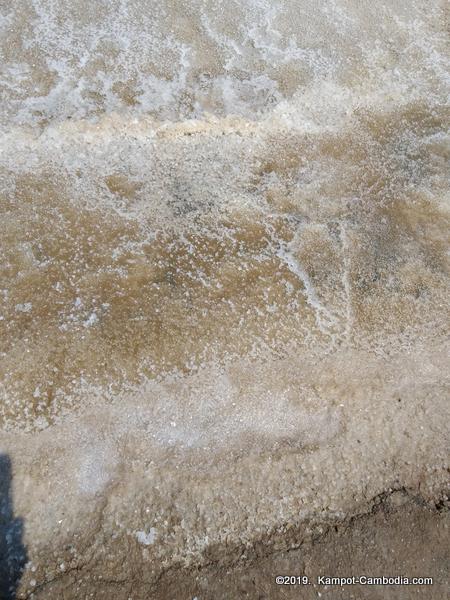 The Salt Fields of Kampot, Cambodia.