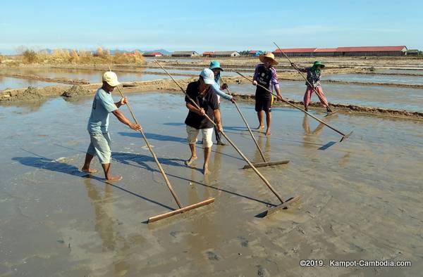 The Salt Fields of Kampot, Cambodia.