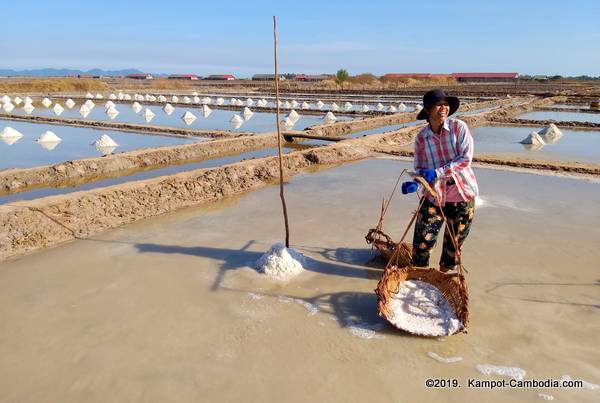 The Salt Fields of Kampot, Cambodia.