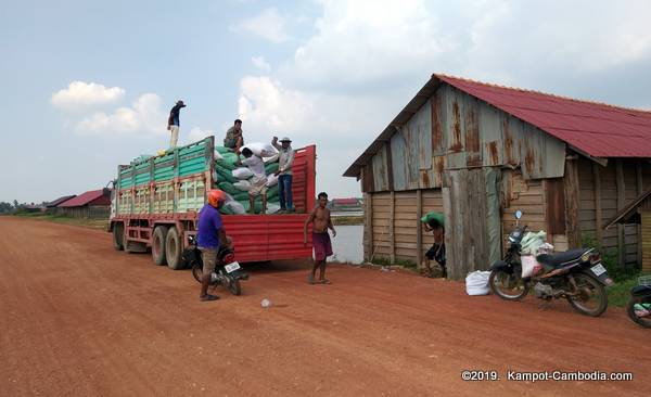 The Salt Fields of Kampot, Cambodia.