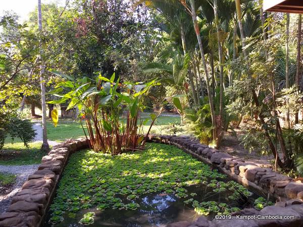 Ganesha Kampot, Eco Guesthouse And more in Kampot, Cambodia.