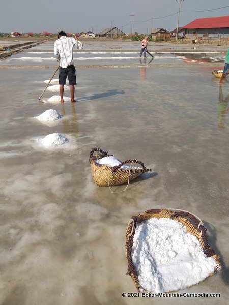 The Salt Fields of Kampot, Cambodia.