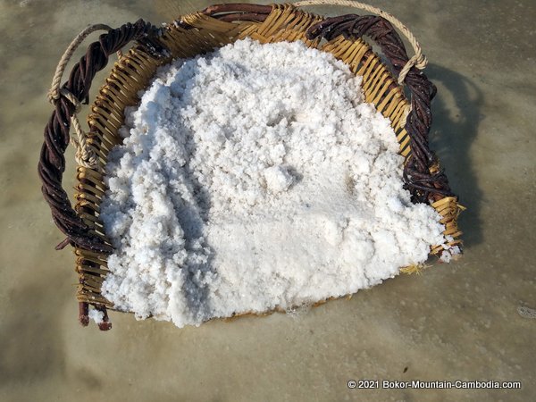 The Salt Fields of Kampot, Cambodia.