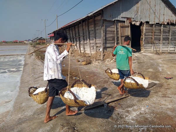 The Salt Fields of Kampot, Cambodia.