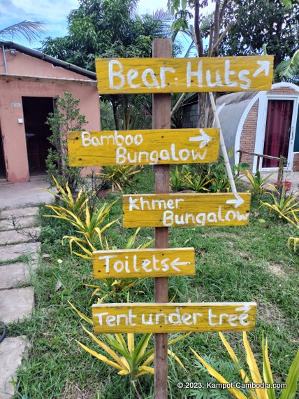 The Bear Bungalow in Kampot, Cambodia.