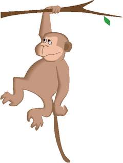 monkey tours to bokor palace hotel, the catholic church, black palace