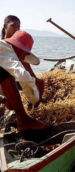 fishermanwomen