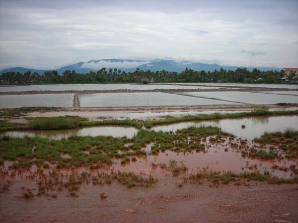 salt fields of kampot, cambodia