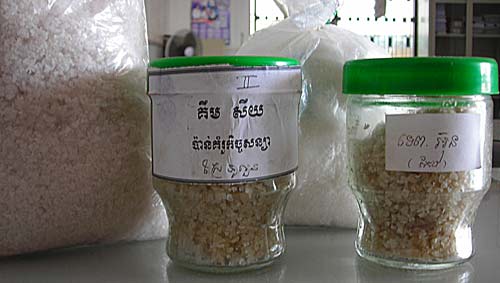 kampot salt