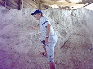salt warehouse