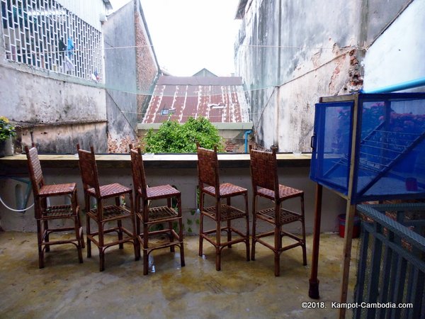 Butterfly Effect Restaurant and Butterfly Garden in Kampot, Cambodia.