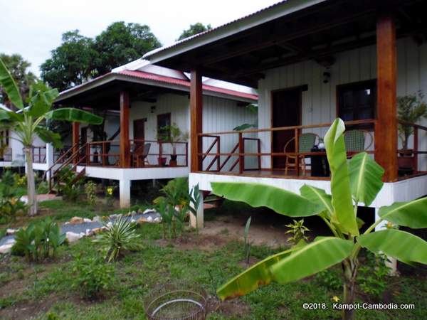 Gecko Village in Kampot, Cambodia.