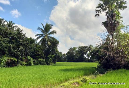 Stay Chill in Kampot, Cambodia.  Guesthouse and Bar.
