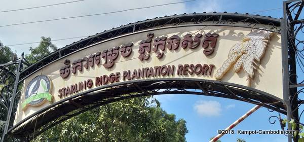 Starling Ridge Farm, Plantation and Resort in Kampot, Cambodia.