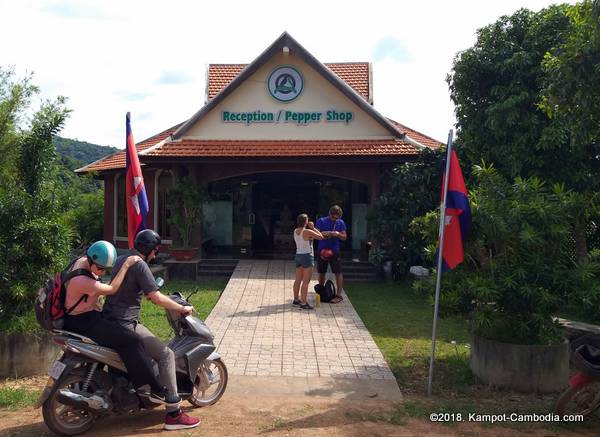 Starling Ridge Farm, Plantation and Resort in Kampot, Cambodia.
