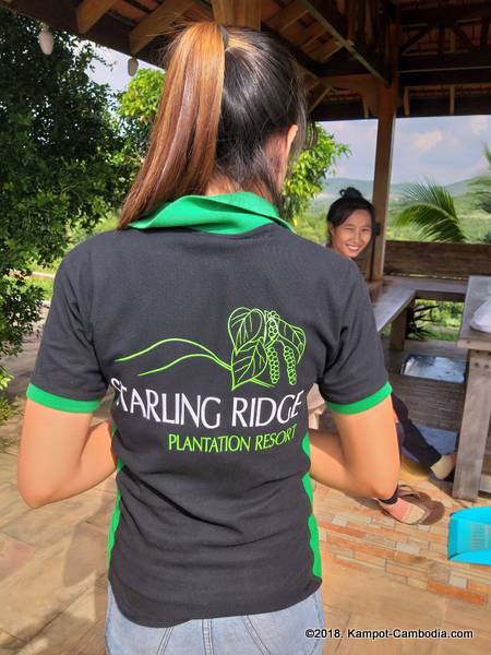 Starling Ridge Farm, Plantation and Resort in Kampot, Cambodia.