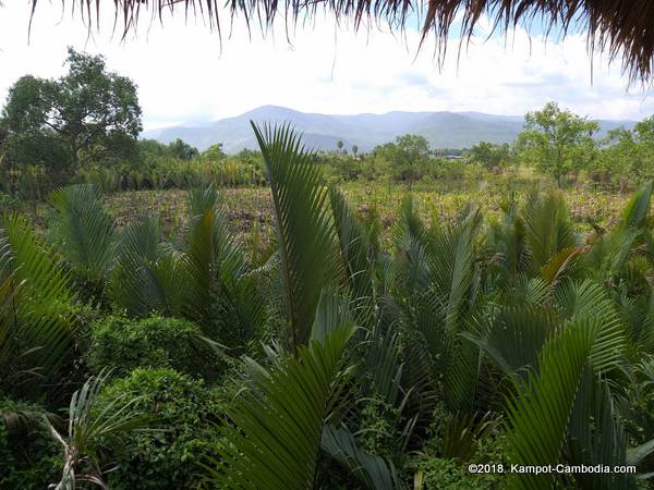 Daom Djah Spirit Guesthouse in Kampot, Cambodia.