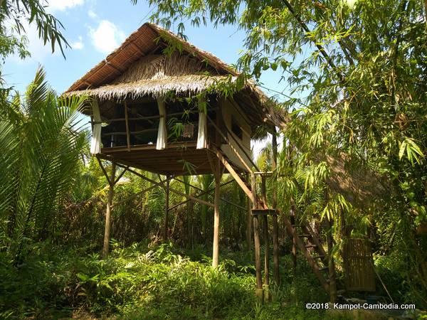 Daom Djah Spirit Guesthouse in Kampot, Cambodia.