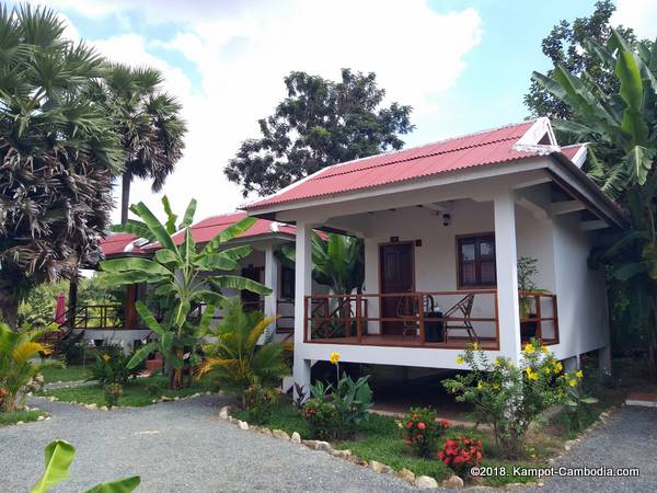 Gecko Village in Kampot, Cambodia.