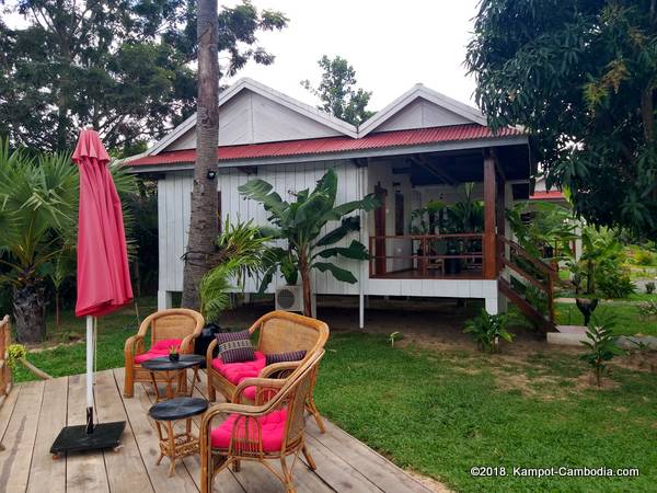 Gecko Village in Kampot, Cambodia.