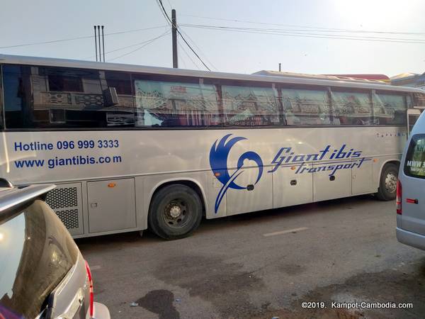Giant Ibis Transport Bus in Kampot, Cambodia.