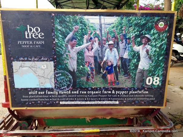 Bo Tree Pepper Farm in Kampot, Cambodia.