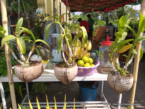 Apsara Home Stay in Kampot, Cambodia.