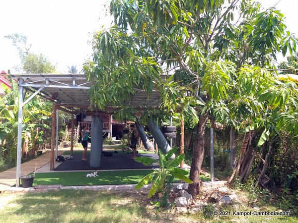 Jungle Dragon Martial Arts in Kampot, Cambodia.